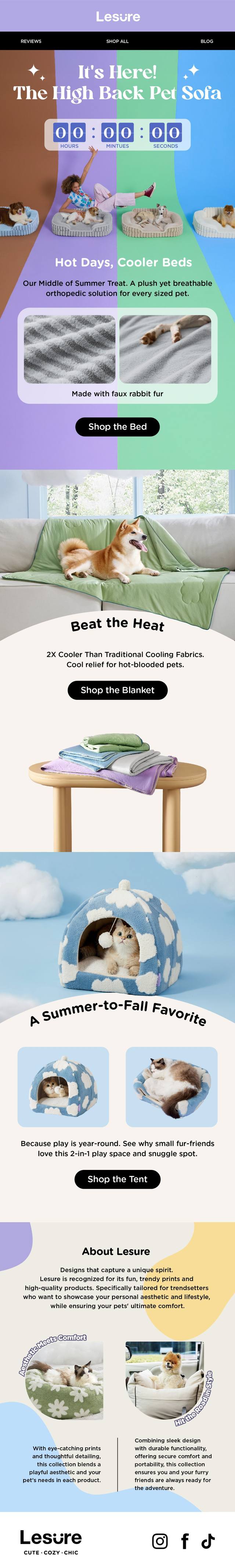 High Back Pet Sofa summer launch email