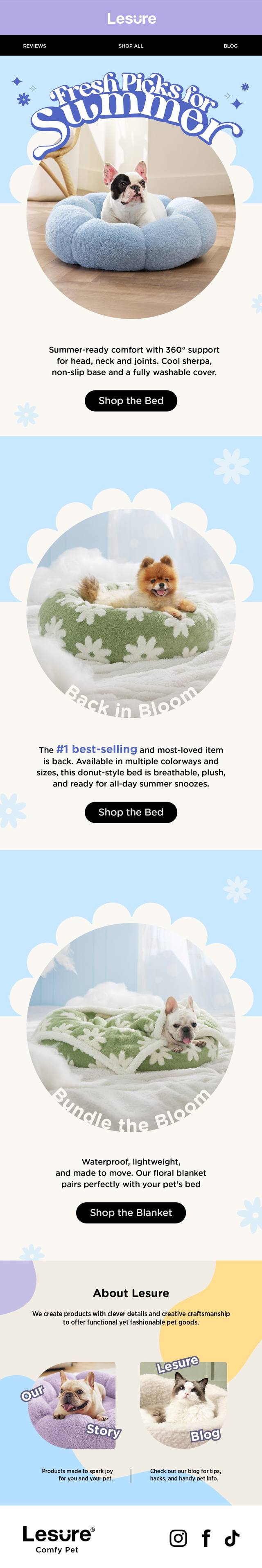Fresh Picks for Summer campaign email