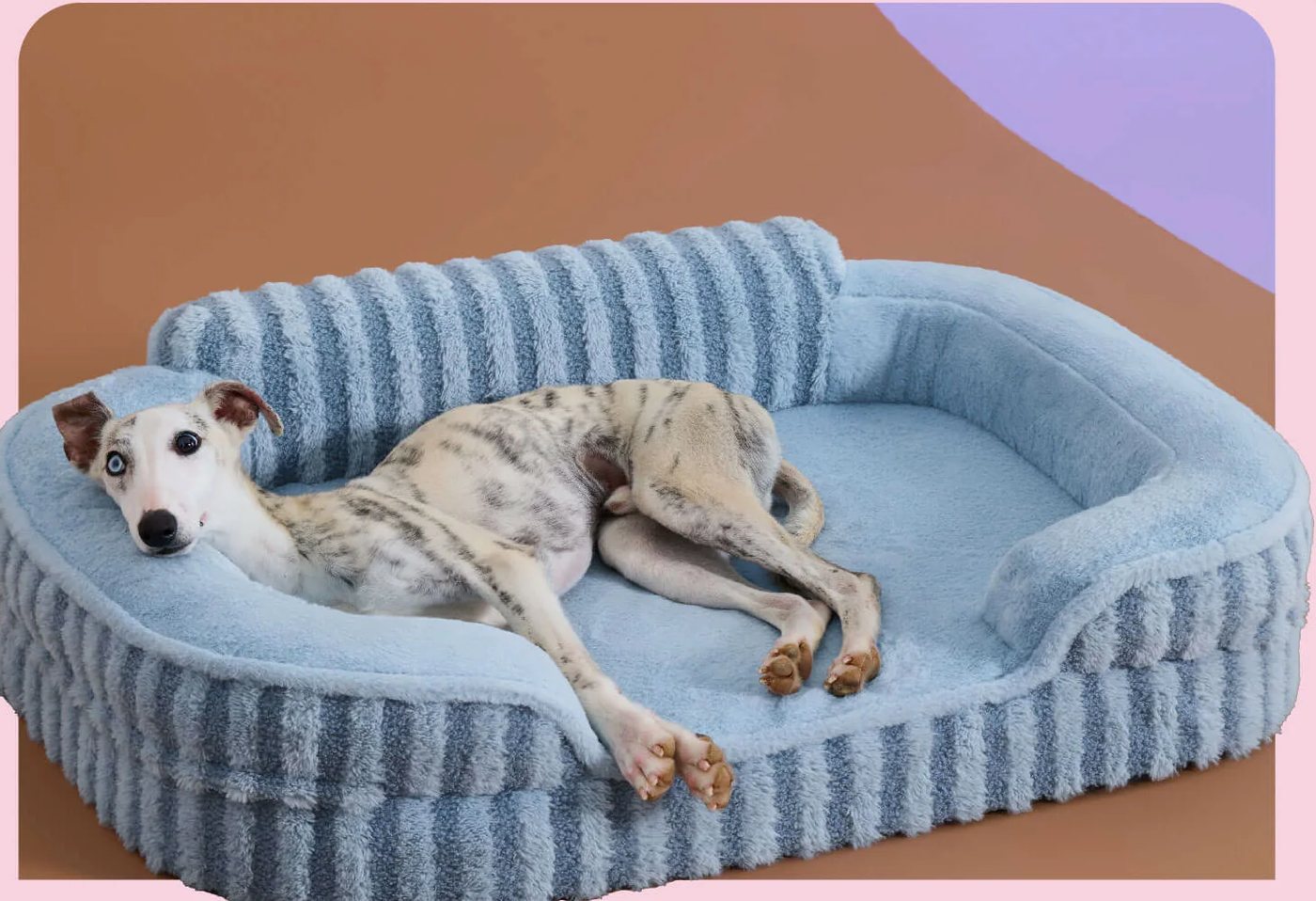 Fits Every Breed panel for the High Back Pet Sofa, a whippet resting on the sofa bed