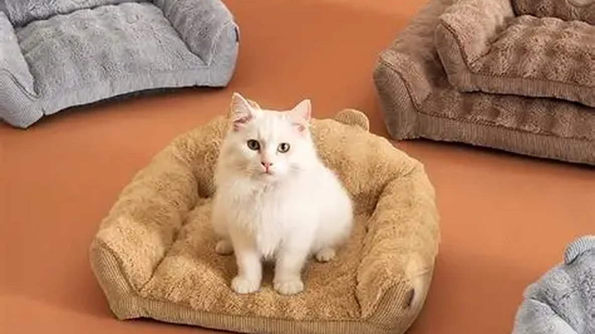 White cat in a caramel bear-shaped Lesure pet couch