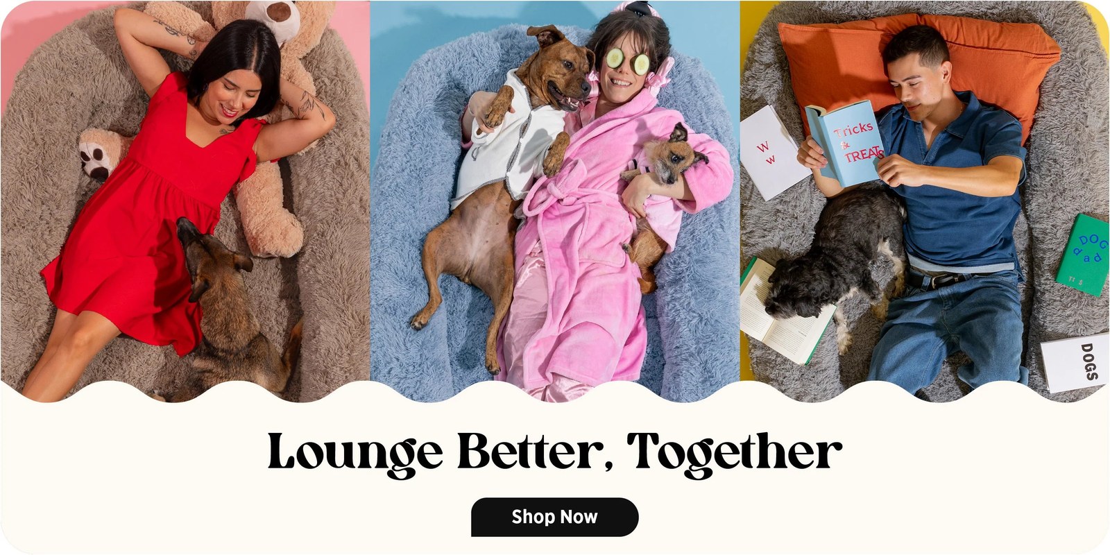 Lesure Pet web banner reading Lounge Better, Together
