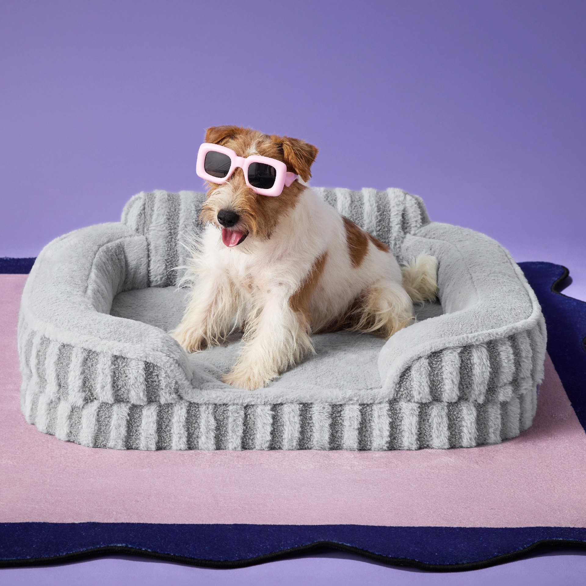Dog wearing sunglasses in a Lesure pet bed