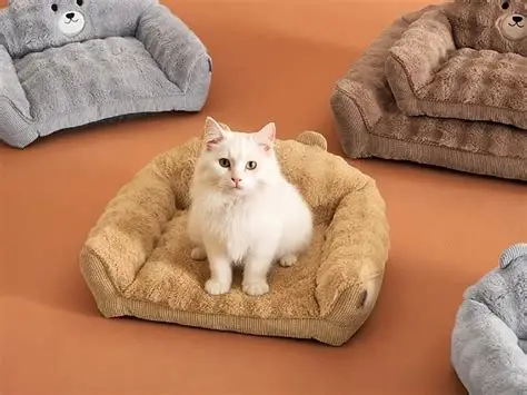 White cat sitting in a Lesure pet bed